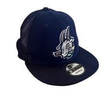 New era hartford for sale  Milford