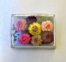 Vintage embedded lucite for sale  EAST GRINSTEAD