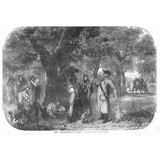 Gipsy encampment forest for sale  GLASGOW