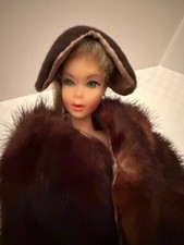 Fur stroller mink for sale Fur stroller mink for sale  Oregon City