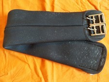 Sattelgurt kurzgurt cm gebraucht kaufen  Orbis, Gauersheim, Mauchenheim