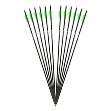 Komplettpfeil drake fire gebraucht kaufen Komplettpfeil drake fire gebraucht kaufen  Anklam