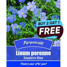 Linum perenne sapphire for sale  MANSFIELD