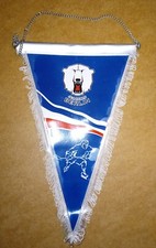 Eishockey fan wimpel gebraucht kaufen  Bad Pyrmont