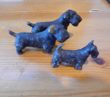 Three westie terrier for sale  BOSTON
