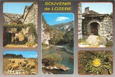 Souvenir lozere multi d'occasion  Rioz