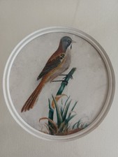 Vintage original bird for sale  RUTHIN
