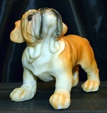 Bulldog puppy for sale  Fort Worth
