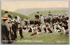 Opening meet devon for sale  GLASGOW
