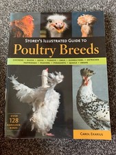 Storey illustrated guide for sale  FAREHAM