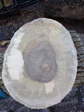 Rondella sezione legno usato  Zogno