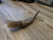 Display viking horn for sale  GLASGOW