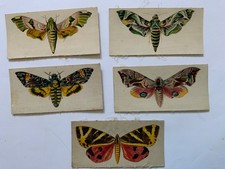 Set r.j.lea moth for sale  GOOLE