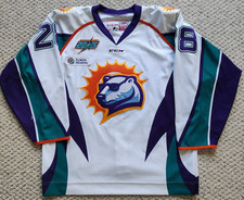 Echl orlando solar for sale  Concord