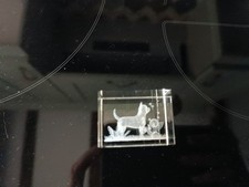 Glass clear chihuahua for sale Glass clear chihuahua for sale  CHELMSFORD