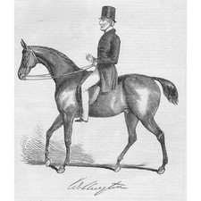 Duke wellington horseback for sale  GLASGOW