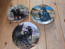 Black labrador decorative for sale  WISBECH