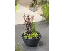 Miniteich floraself pflanzen gebraucht kaufen  Deutschland