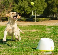 Automatic dog ball for sale  LONDON