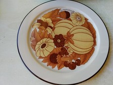 Speiseteller rosenthal studio gebraucht kaufen  Hamburg