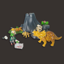 Playmobil 4170 dinosaur usato  Seravezza