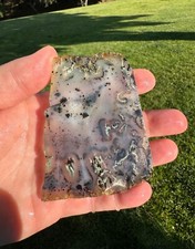 Fancy montana agate for sale  Sonoma