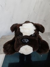 Aurora dog puppy for sale  LEICESTER