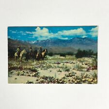 Springtime desert playground for sale  Portland