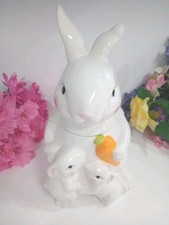 Easter bunny cookie for sale  Donnelsville