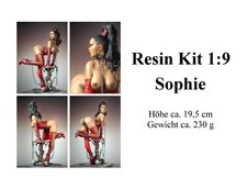 Figur resin kit gebraucht kaufen  Billerbeck