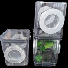 Flipable jumping spider for sale  ORMSKIRK