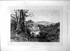 Old english homes for sale  UK