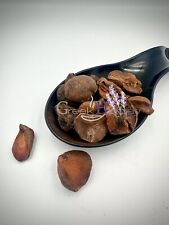 Metades de noz de cola seca 20 g (0,70 oz)-1,9 kg (4,2 lb) Cola Nitida, usado comprar usado  Enviando para Brazil