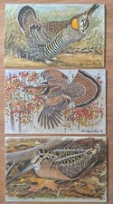 Fuertes waterfowl game for sale  Wrightwood