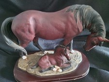 Leonardo collection horses for sale  BICESTER