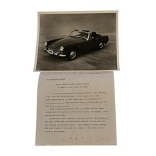 1969 austin healey for sale  Saint Charles