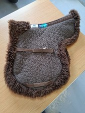 Large brown pure for sale  LINCOLN