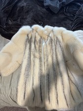 Beautiful white grey for sale  Redmond