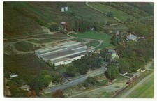 Cartão postal Hammondsport NY The Taylor Winery vintage vista aérea Nova York comprar usado  Enviando para Brazil