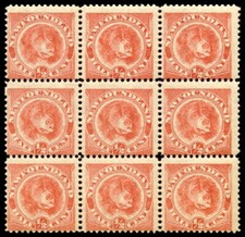 Newfoundland 1887 newfoundland for sale  BRISTOL