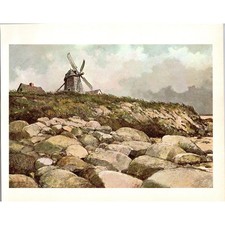 Windmill buildings rocky for sale  Hinckley