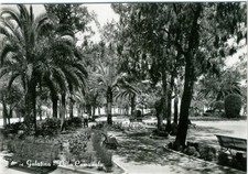 Galatina lecce villa usato  Treviso