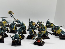 Skinks. warhammer. seraphon for sale  LOCHGILPHEAD