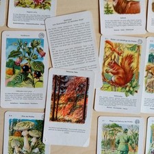 1957 deutschen wald gebraucht kaufen 1957 deutschen wald gebraucht kaufen  Lengenfeld