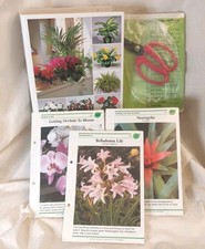 Success house plants for sale  Puyallup