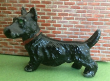 scottish terrier for sale  HAVANT