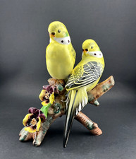 Vintage parakeets double for sale  Auburn