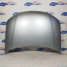 Cofano anteriore grigio usato  Acerra