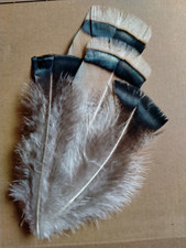 Fly tying native for sale  UK