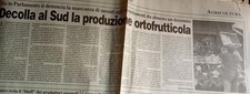 Sicilia agricoltura esporta usato  Garlasco
